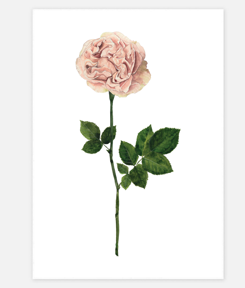 UNE PIECE-FREE GIFT - Sheryl Cole A5 Art Print